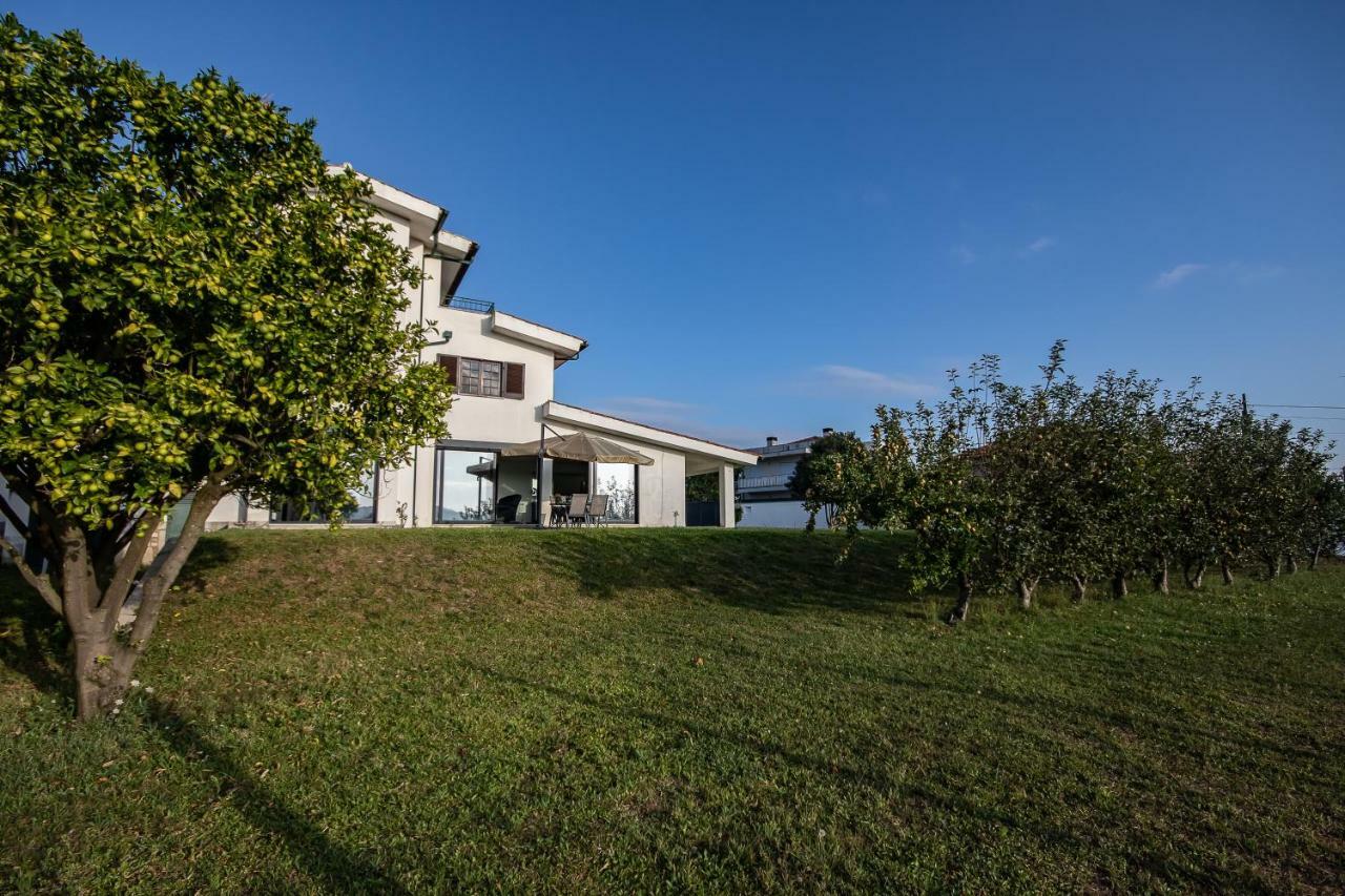 Viana Do Castelo Home المظهر الخارجي الصورة